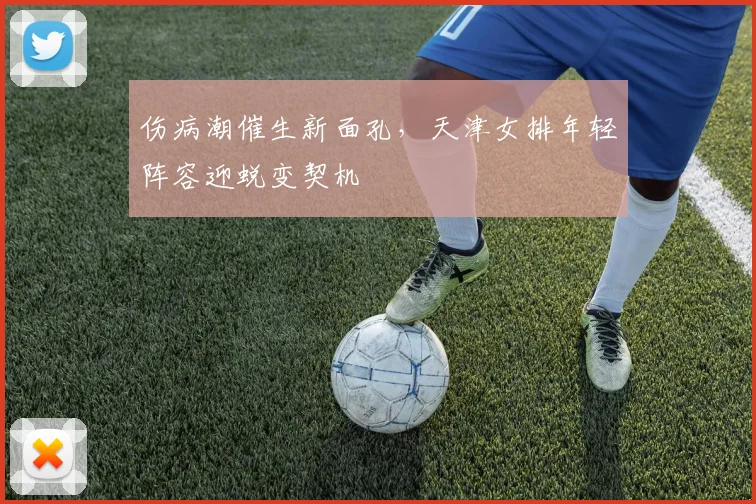 伤病潮催生新面孔，天津女排年轻阵容迎蜕变契机