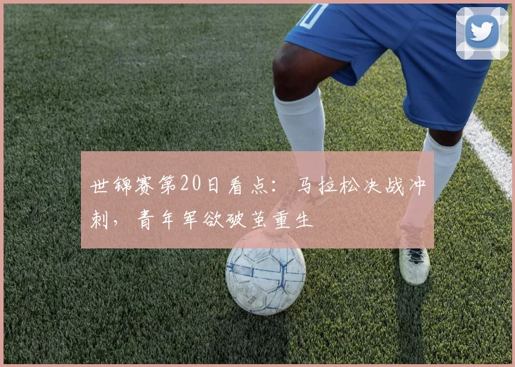 世锦赛第20日看点：马拉松决战冲刺，青年军欲破茧重生