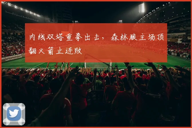 内线双塔重拳出击，森林狼主场顶翻火箭止连败